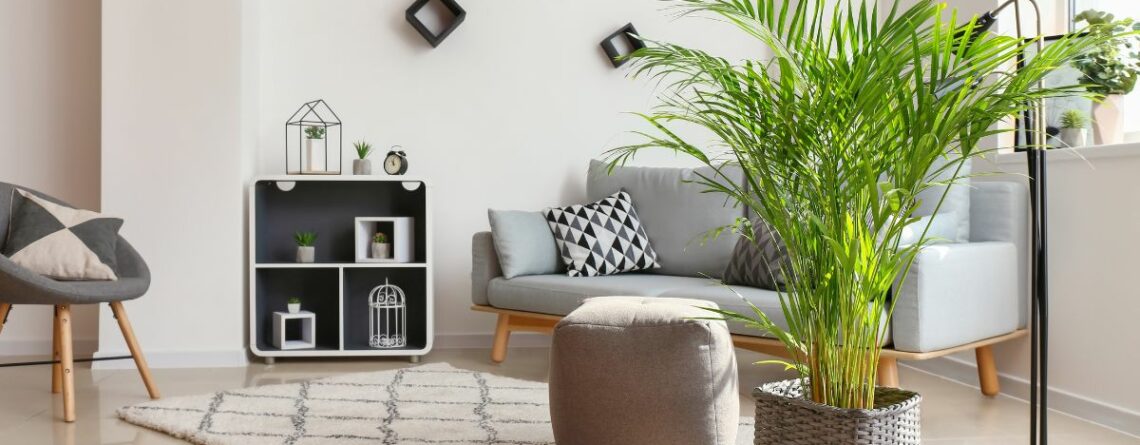 Understanding Freelancing in Interior Decoration