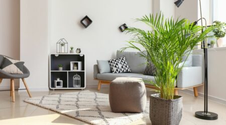 Understanding Freelancing in Interior Decoration