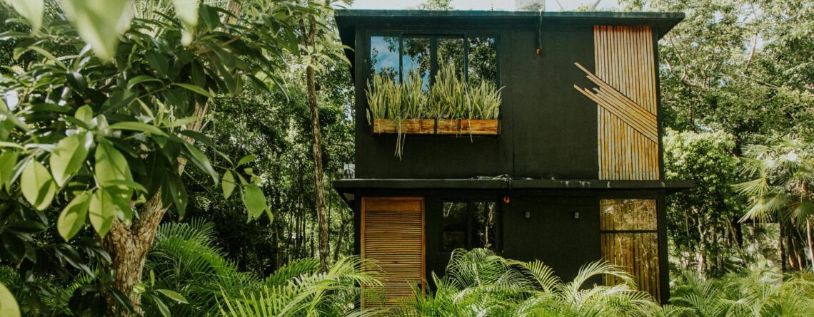 In-Depth Review of Eco-Friendly Home Decor Trends