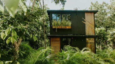 In-Depth Review of Eco-Friendly Home Decor Trends